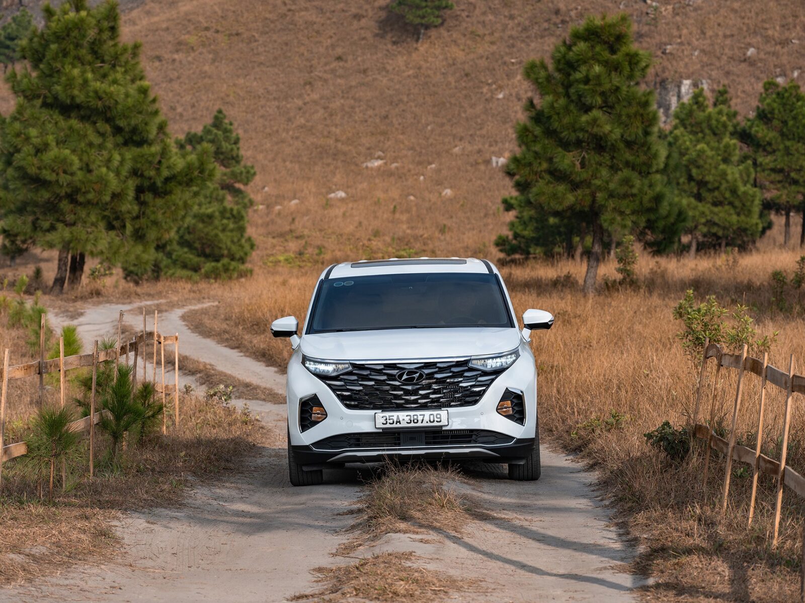 Hyundai Custin TC GROUP THÔNG BÁO KẾT QUẢ BÁN HÀNG HYUNDAI THÁNG 7/2024